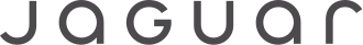 Jaguar's 2024 flatter, minimalist emblem logo.